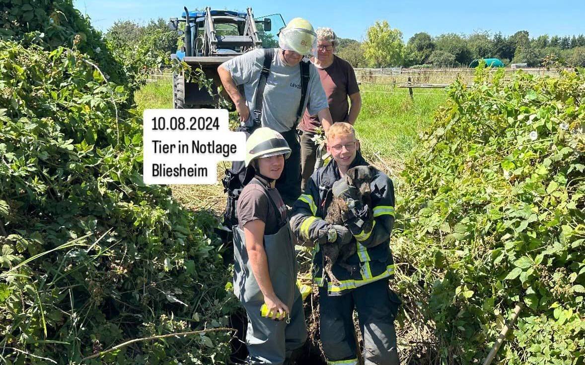 Hund wohlbehalten gerettet