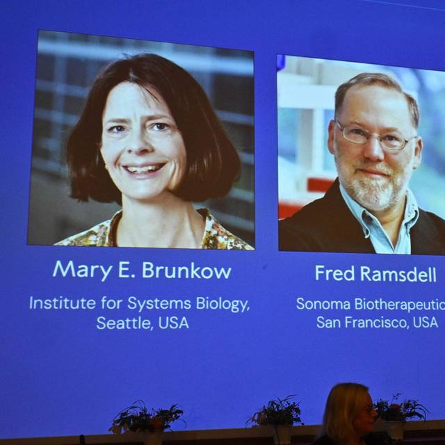 Nobelpreise 2025 - Medizin