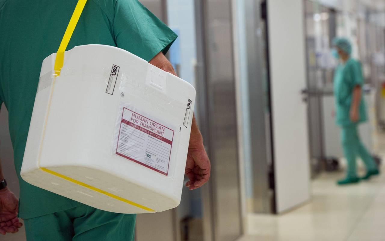 Organspende