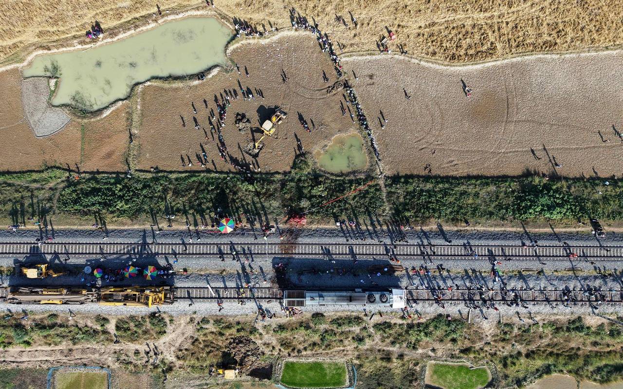 Elefanten sterben in Indien bei Kollision mit Zug