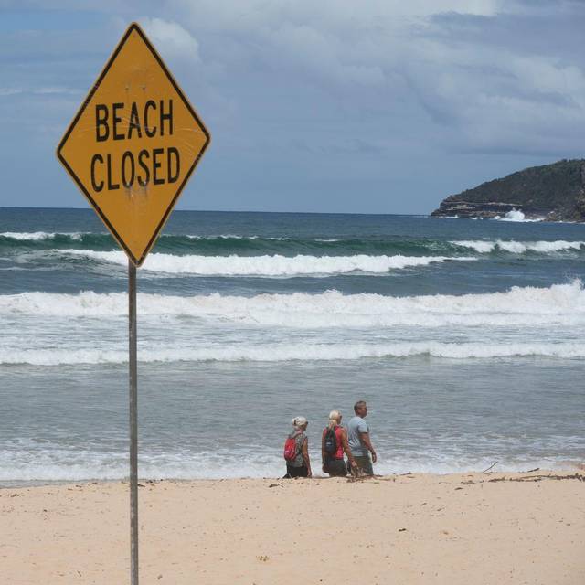 Haiangriffe in Australien