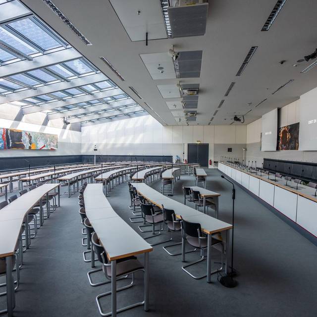 Kein Anspruch auf «Silbermedaille» – AfD verliert Saalstreit