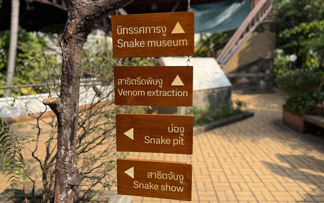 Schlangenfarm in Bangkok zur Herstellung von Antiserum