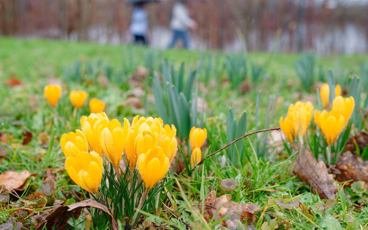 Wetter in Baden-Württemberg
