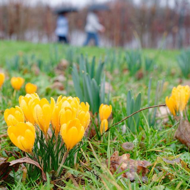 Wetter in Baden-Württemberg