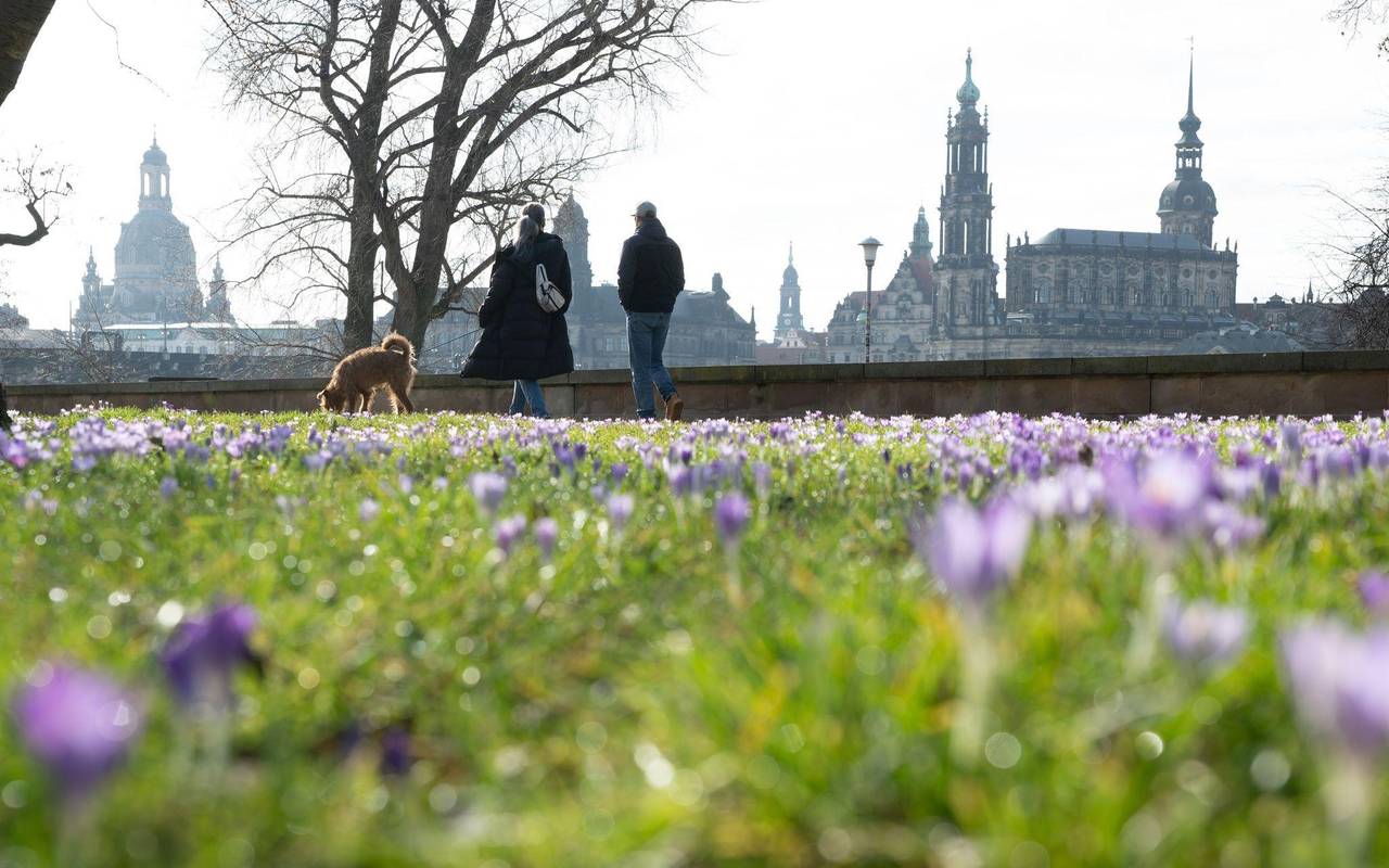 Frühling in Sachsen