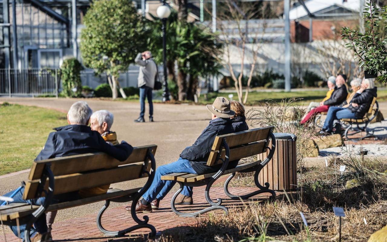 Frühlingshaftes Wetter in Köln