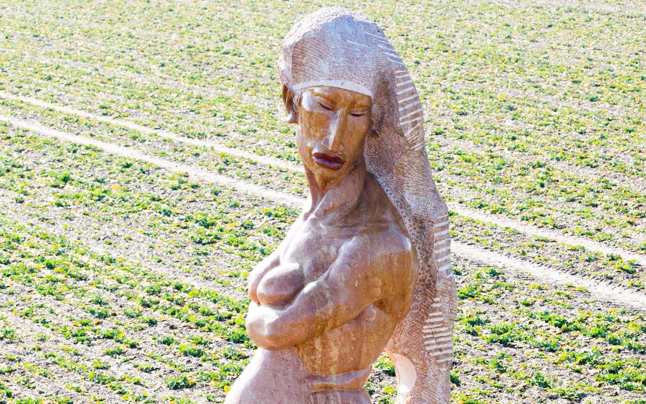 Nackte Statue "Mea Dea" sorgt für Aufsehen