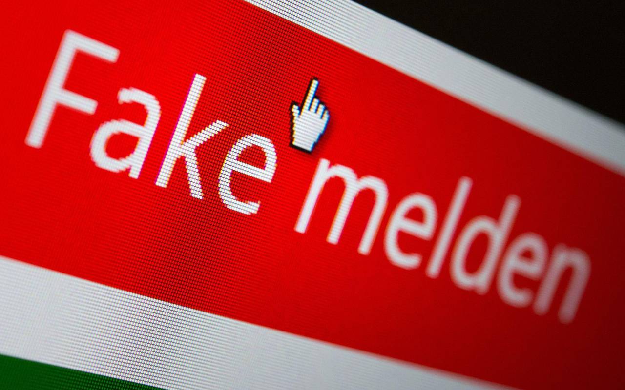 «Fake melden» steht auf dem Button einer Website