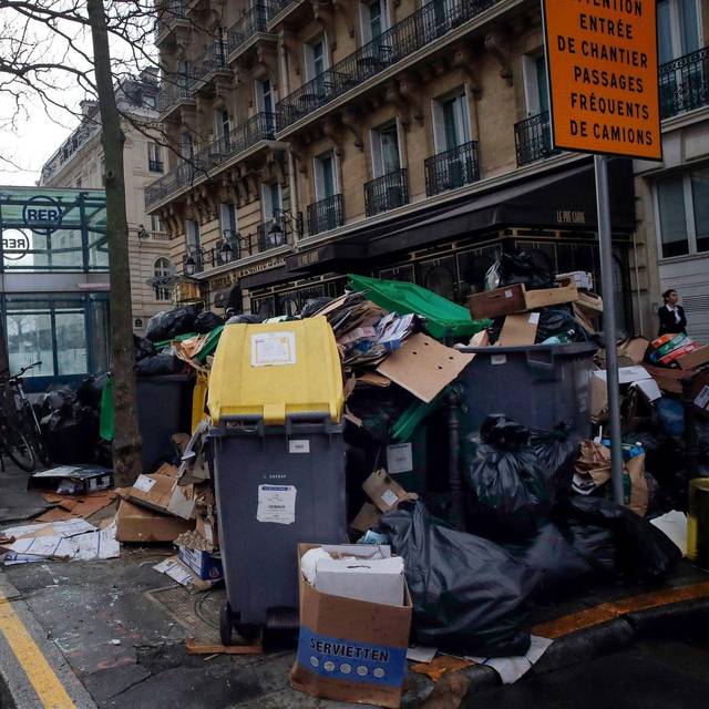 Wahlkampf in Paris - Millionen Ratten sorgen für Streit