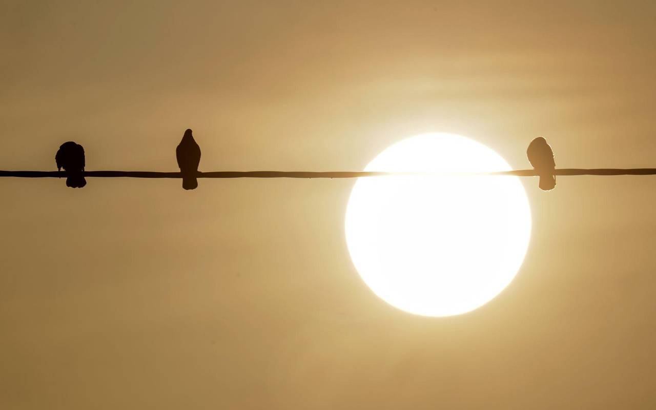Saharastaub - trübe Sonne am grauen Himmel