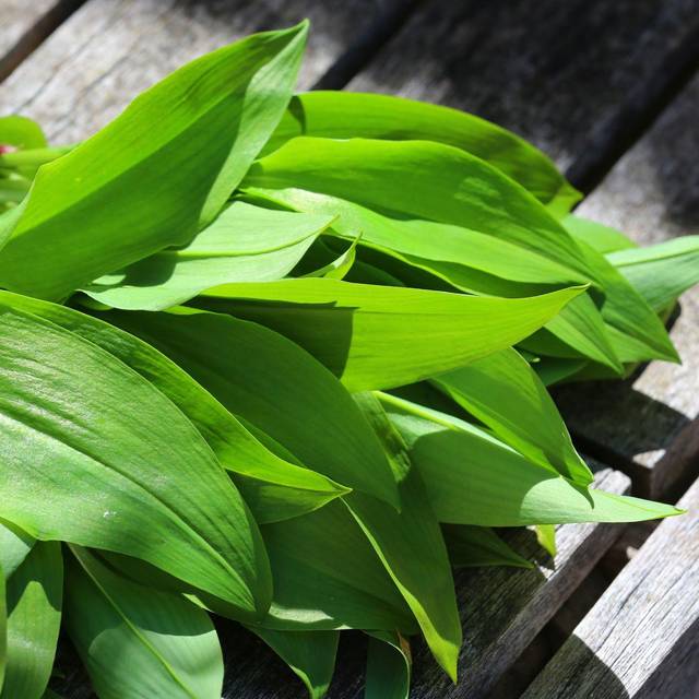 Bärlauch auf einem Holztisch
