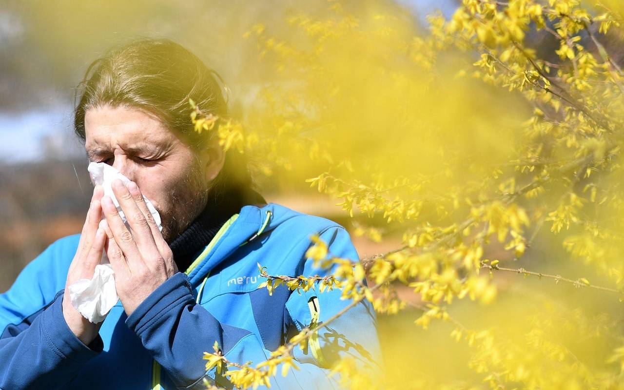 Eine Person mit Pollenallergie schnäuzt sich
