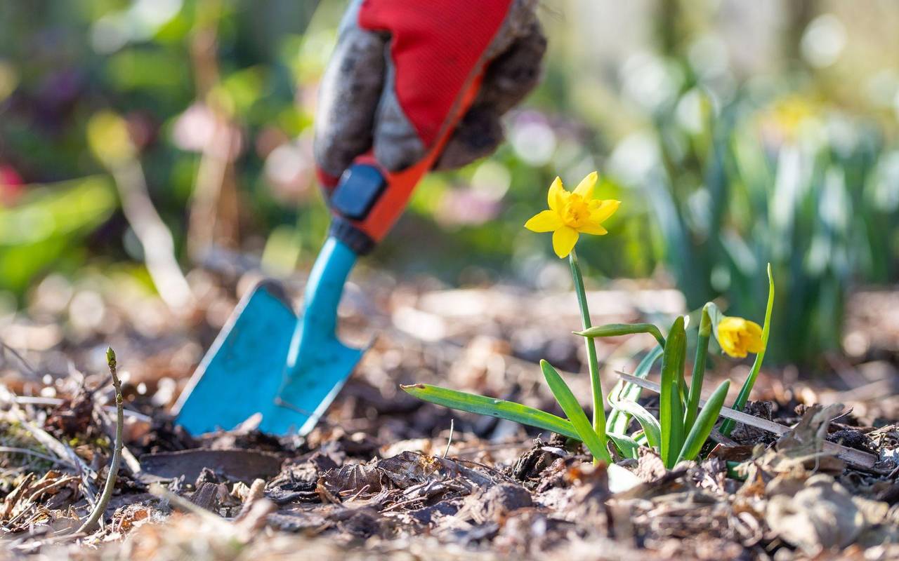Tipps zur Zeitumstellung