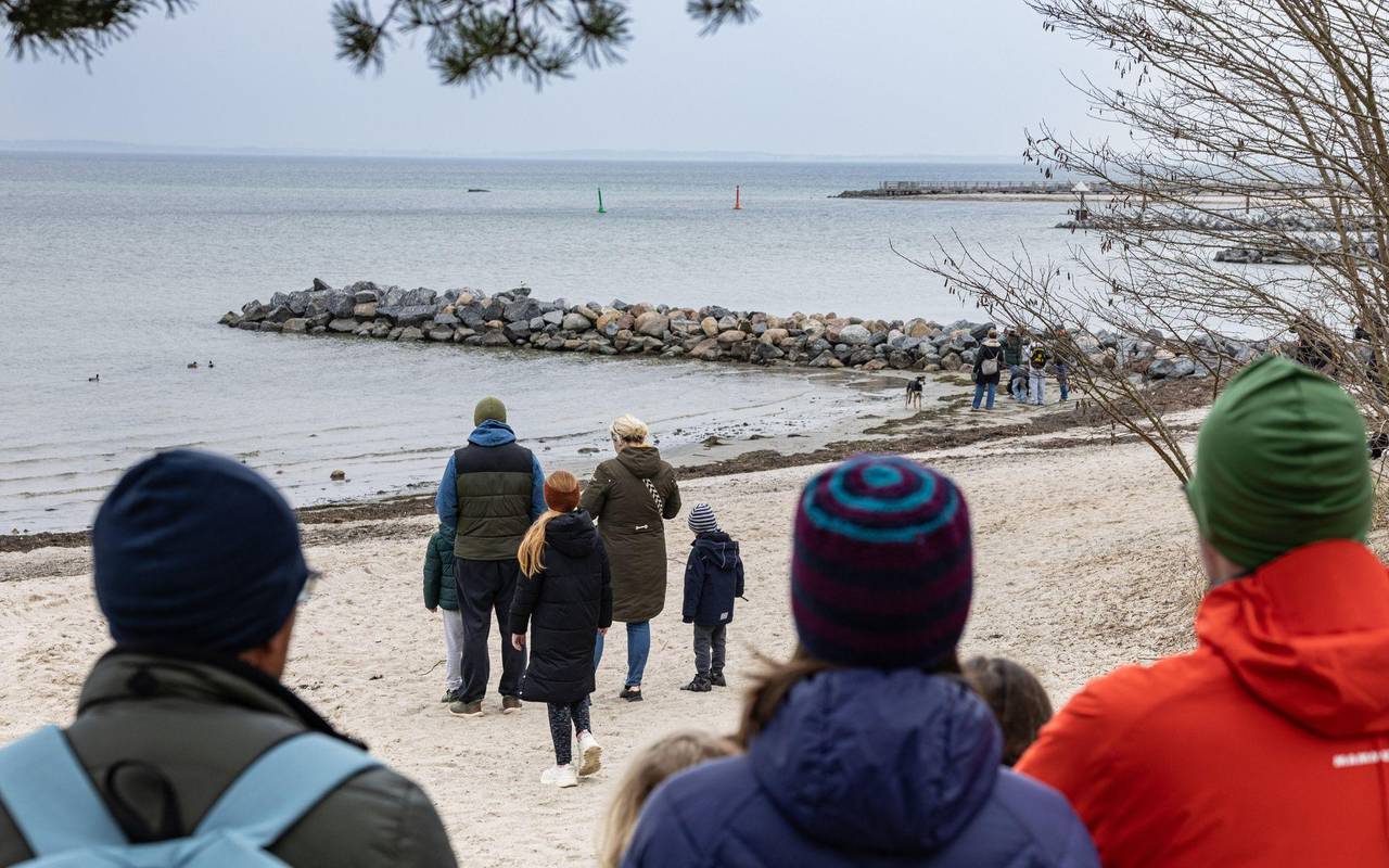 Wal an der Ostseeküste gestrandet