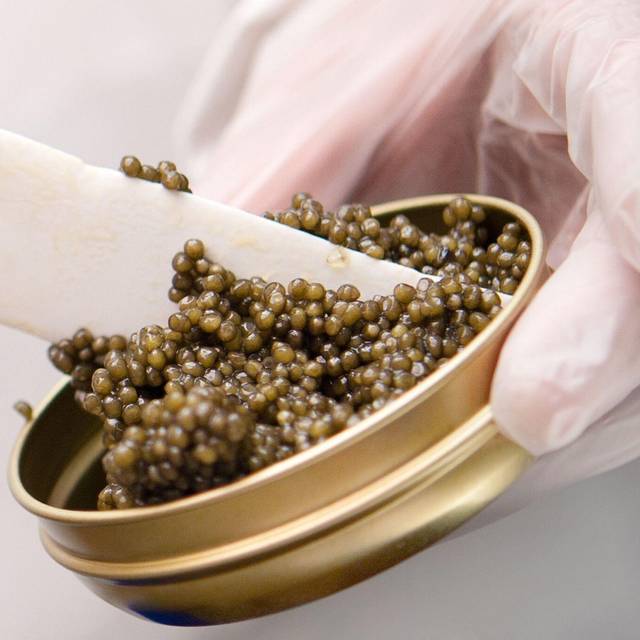 Schrenckii-Kaviar vom Amur-Stör bei «Imperial Caviar» in Berlin