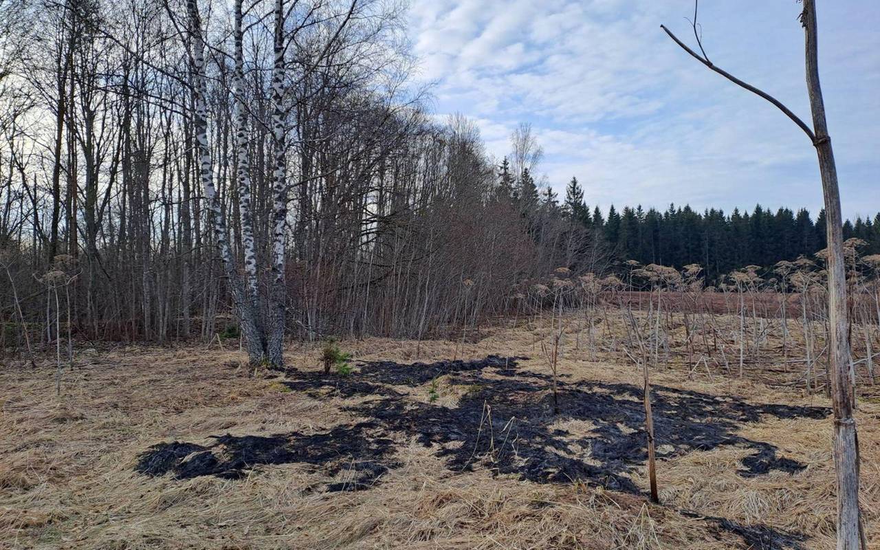 Drohne stürzt in Lettland ab