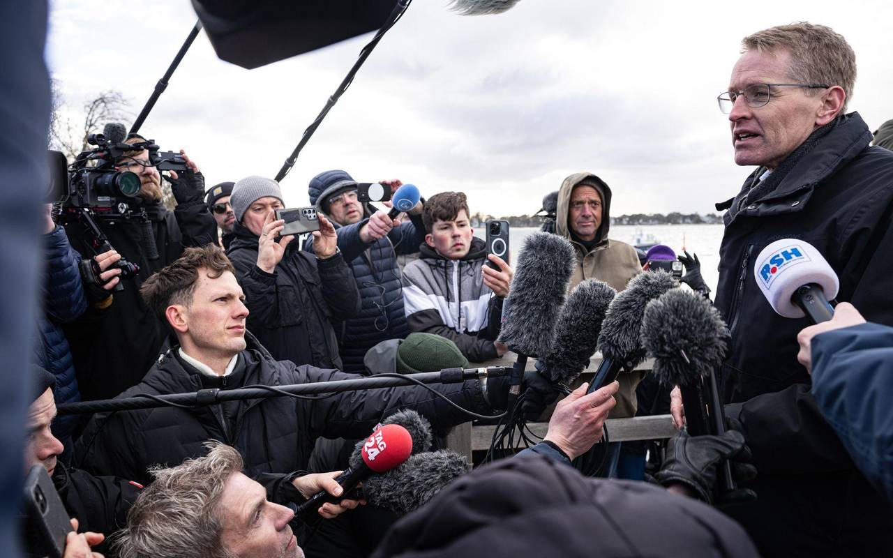 Wal an der Ostseeküste gestrandet