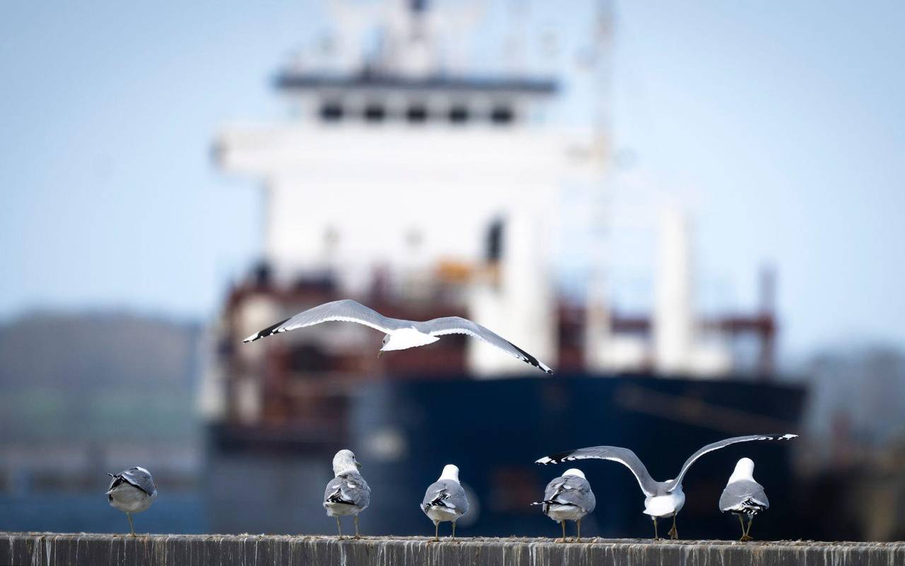 Wetter in Mecklenburg-Vorpommern