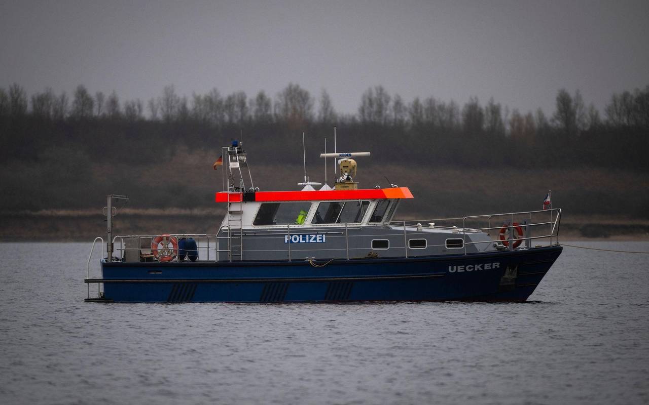 Buckelwal erneut gestrandet