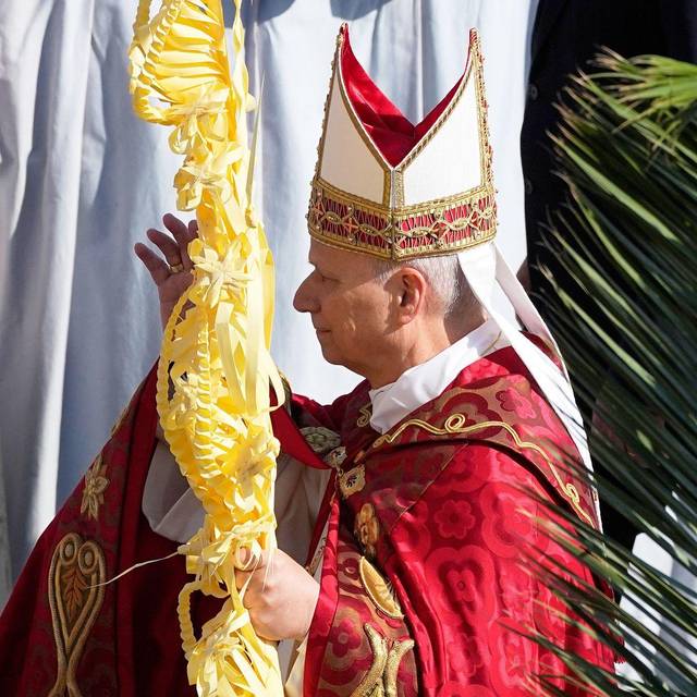 Vatikan - Palmsonntag