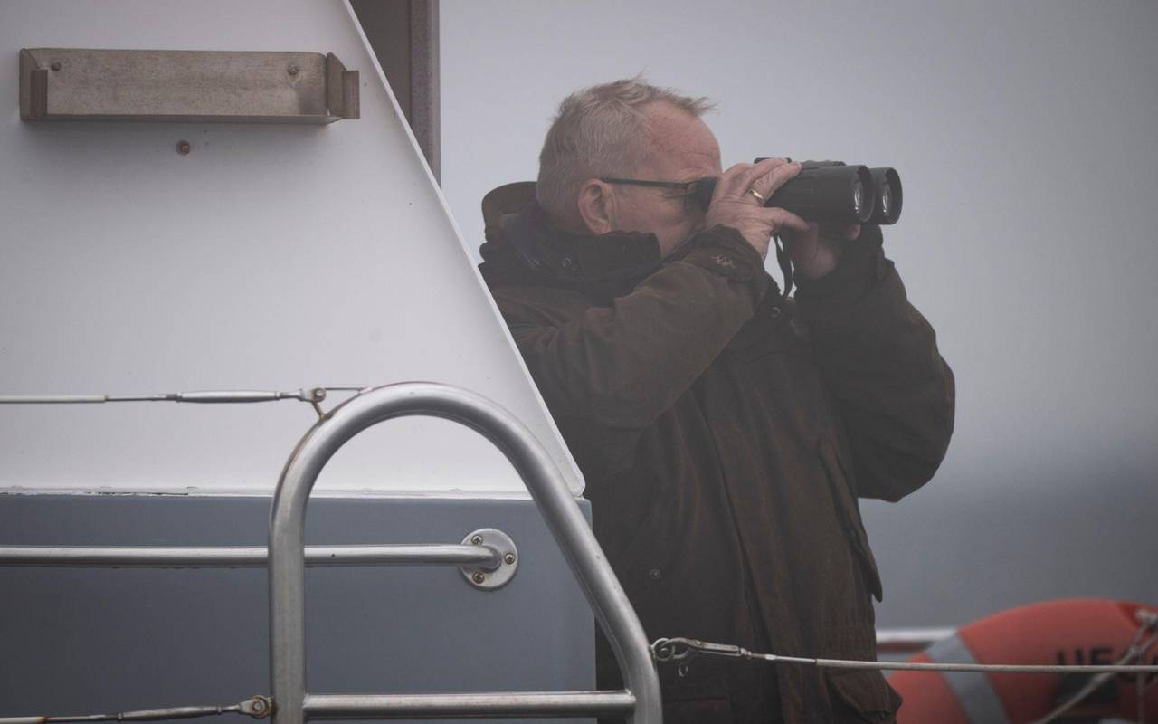 Rettungsaktion für Buckelwal