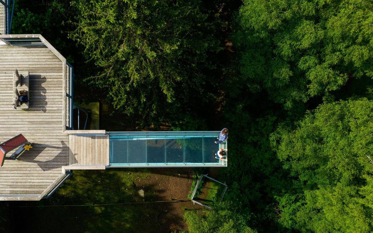 Gläserner Skywalk auf dem Baumwipfelpfad «Heide Himmel»