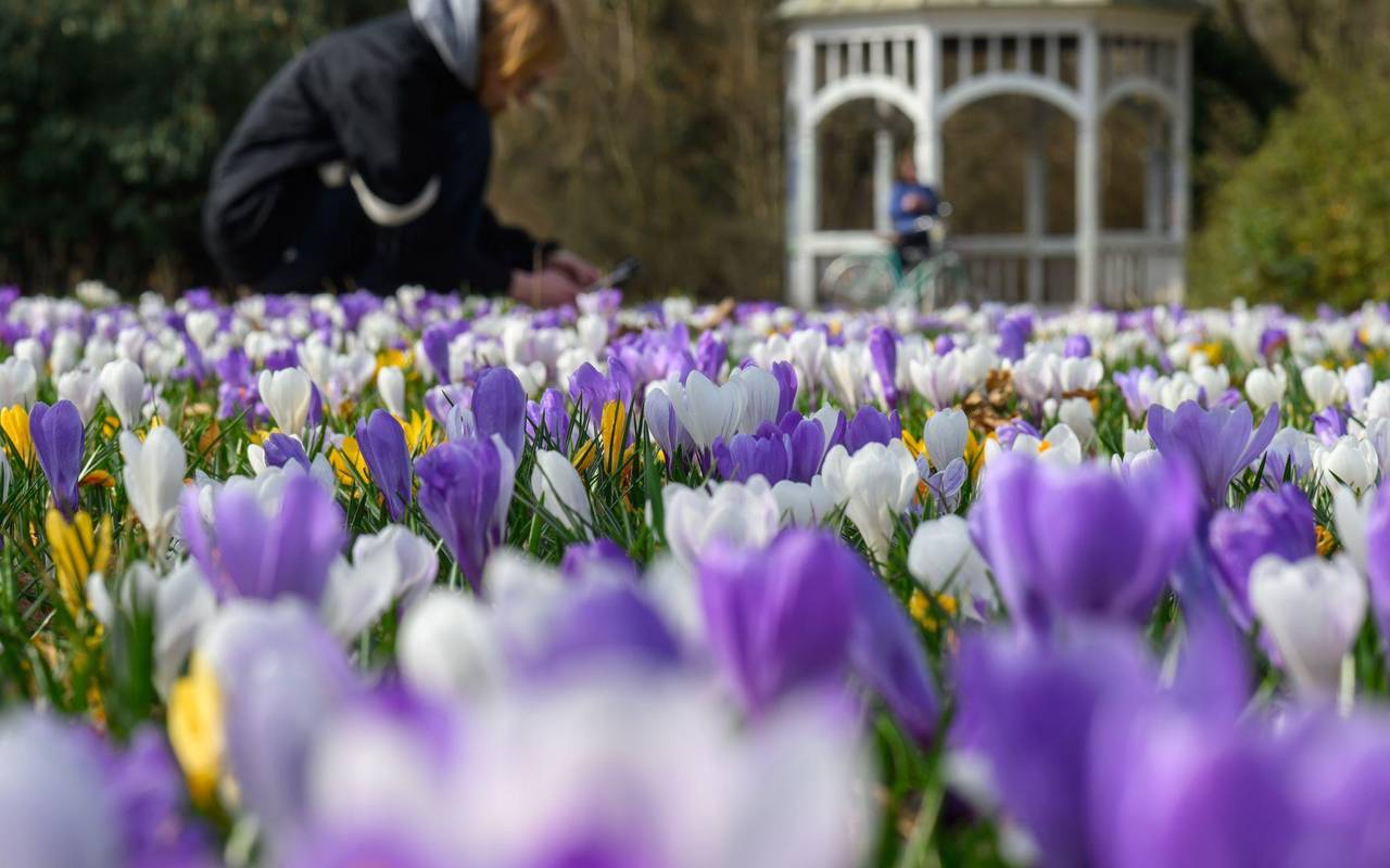 Frühlingserwachen - März-Bilanz DWD