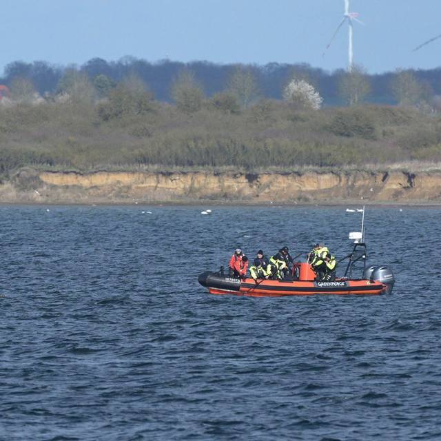 Buckelwal in Wismarer Bucht