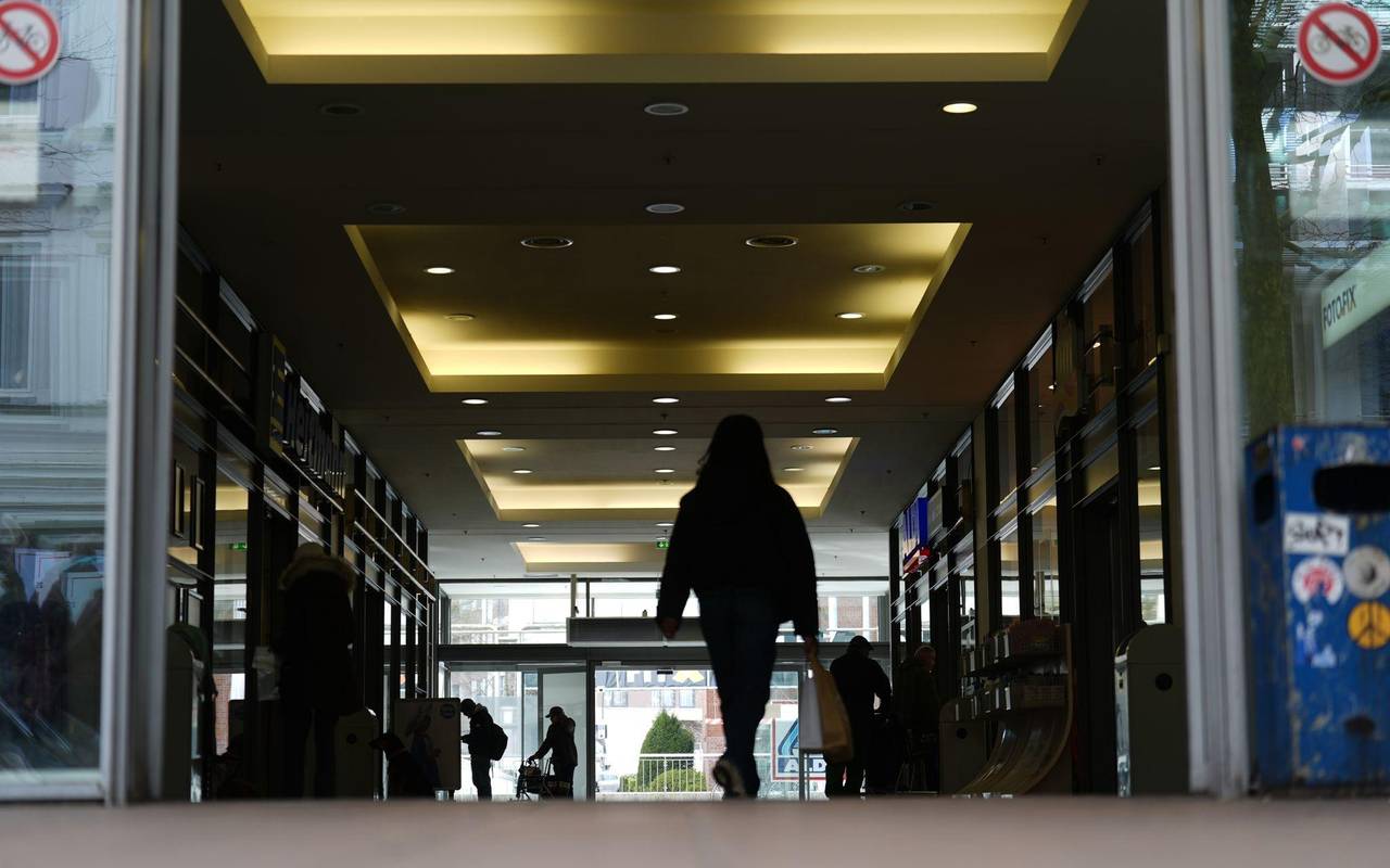 Wolf verletzt Frau in Einkaufspassage