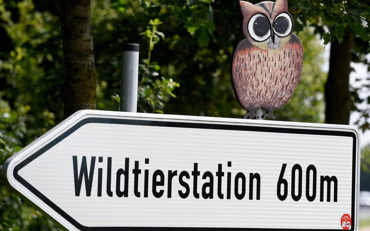 Wildtierstation Sachsenhagen (Archivbild)