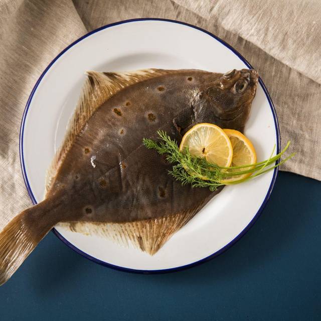 Eine frische Scholle liegt auf einem Teller