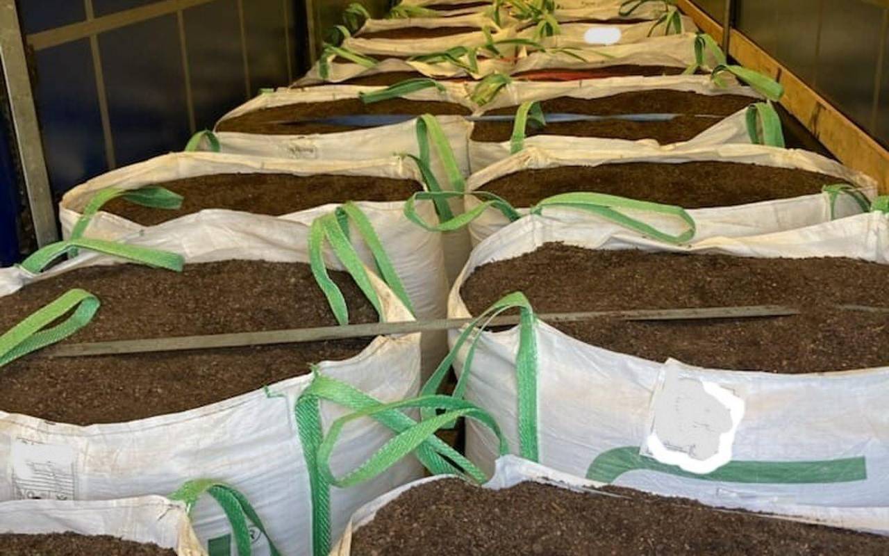 Zoll findet Kokain im Millionenwert in Blumenerde-Laster
