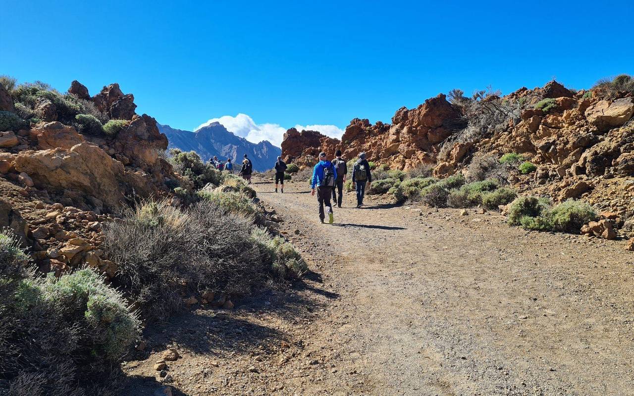Vulkanlandschaft auf Teneriffa