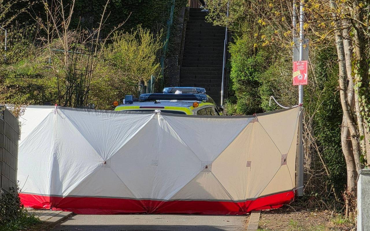 Mann stirbt nach Polizeischüssen bei Verfolgungsfahrt