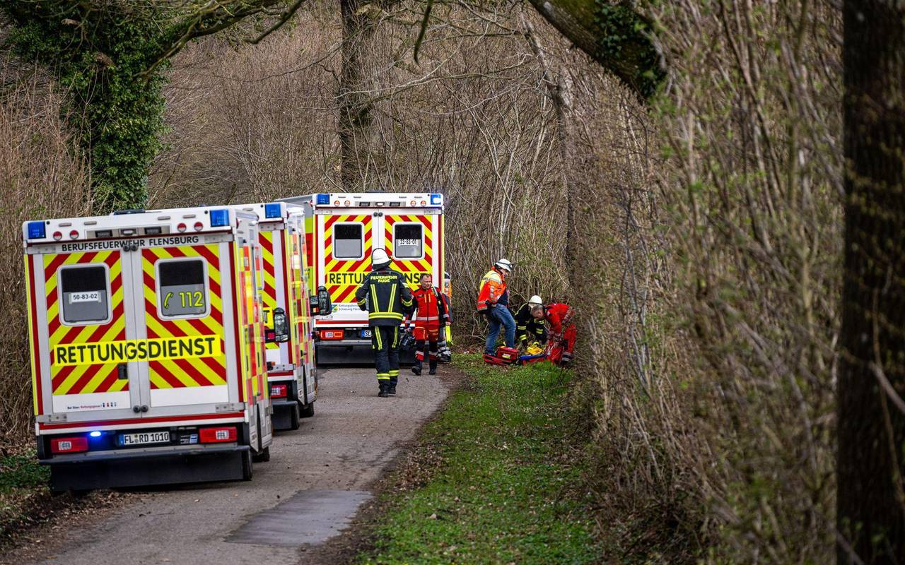 Baum umgestürzt – Drei Tote bei Flensburg