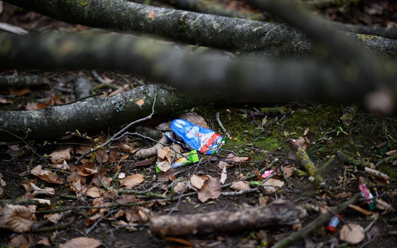 Baum umgestürzt - Drei Tote bei Flensburg