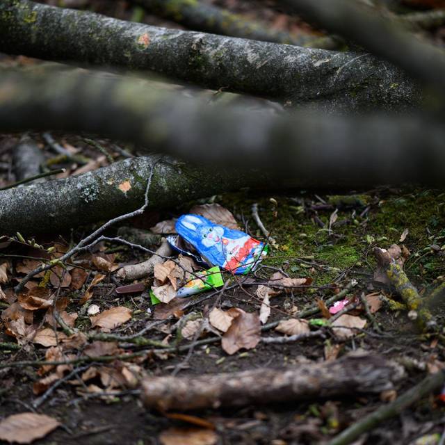Baum umgestürzt - Drei Tote bei Flensburg