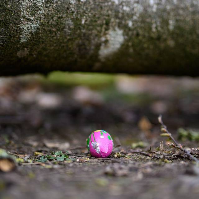 Baum umgestürzt - Drei Tote bei Flensburg