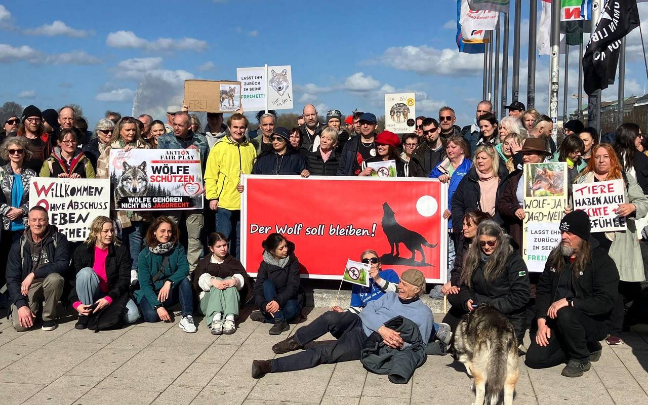 Mahnwache zur Befreiung des Hamburger Wolfs