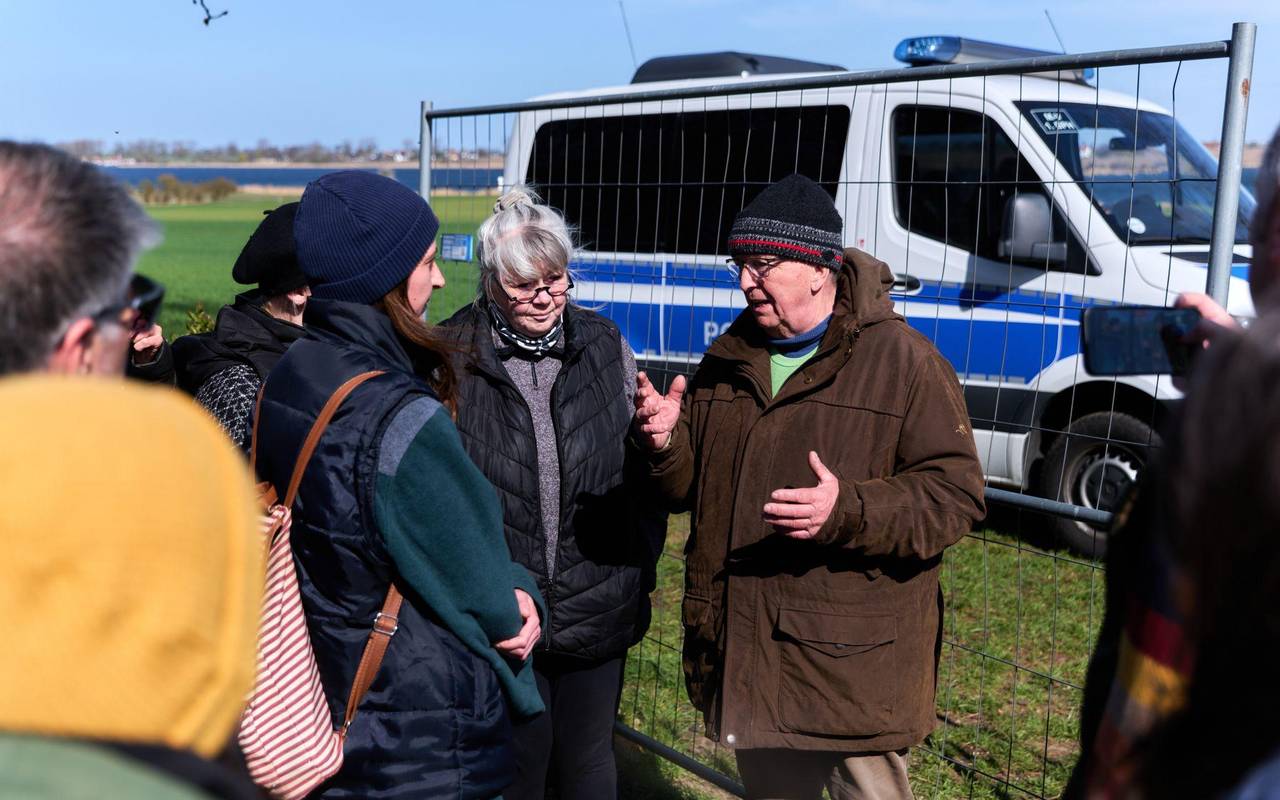 Buckelwal liegt weiter in Wismarbucht