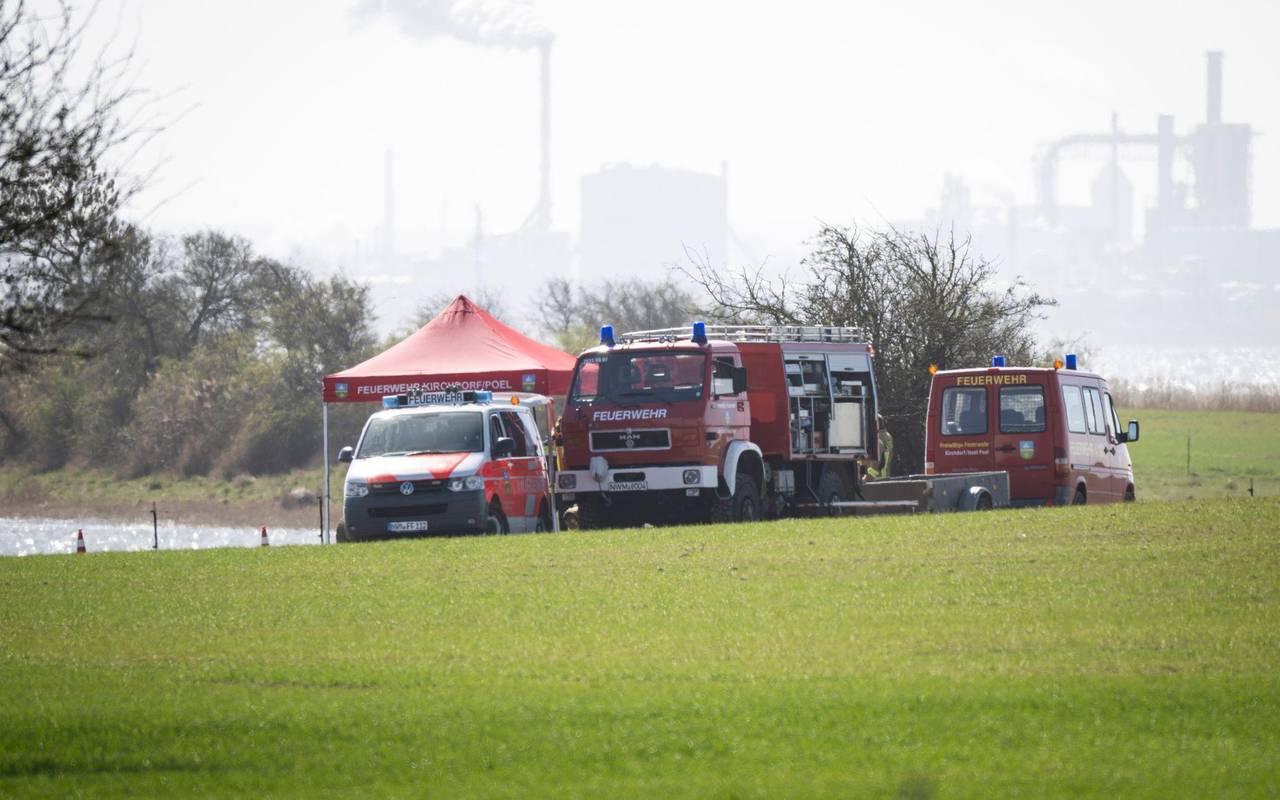 Buckelwal liegt weiter in Wismarer Bucht