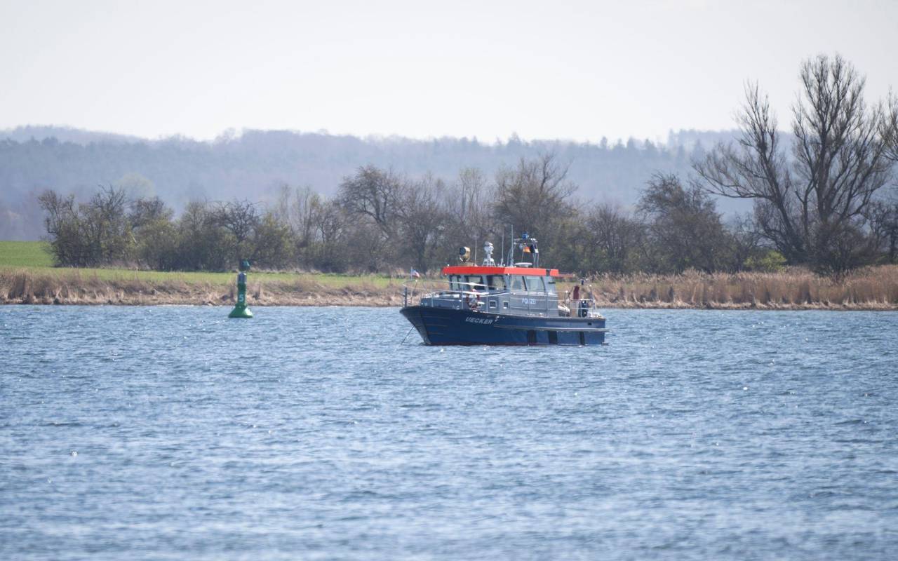 Gestrandeter Buckelwal in Wismarbucht