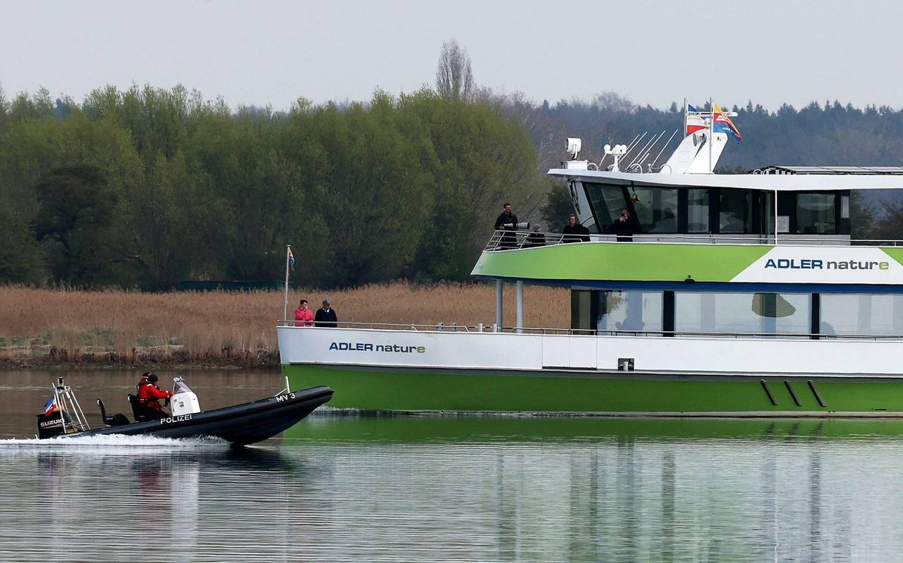 Buckelwal liegt in Wismarer Bucht