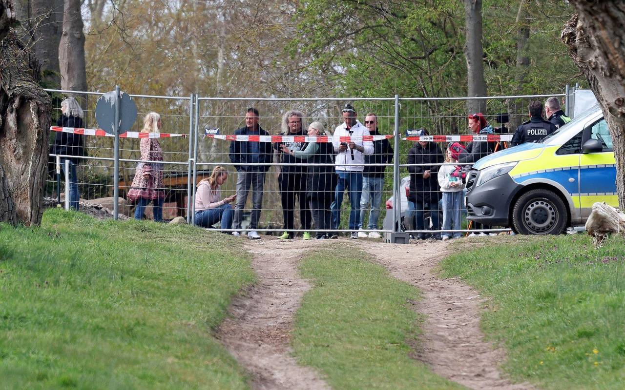 Buckelwal liegt in Wismarer Bucht