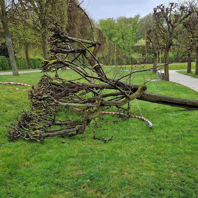 Unbekannte haben im Brühler Schlosspark Zerstörung angerichtet