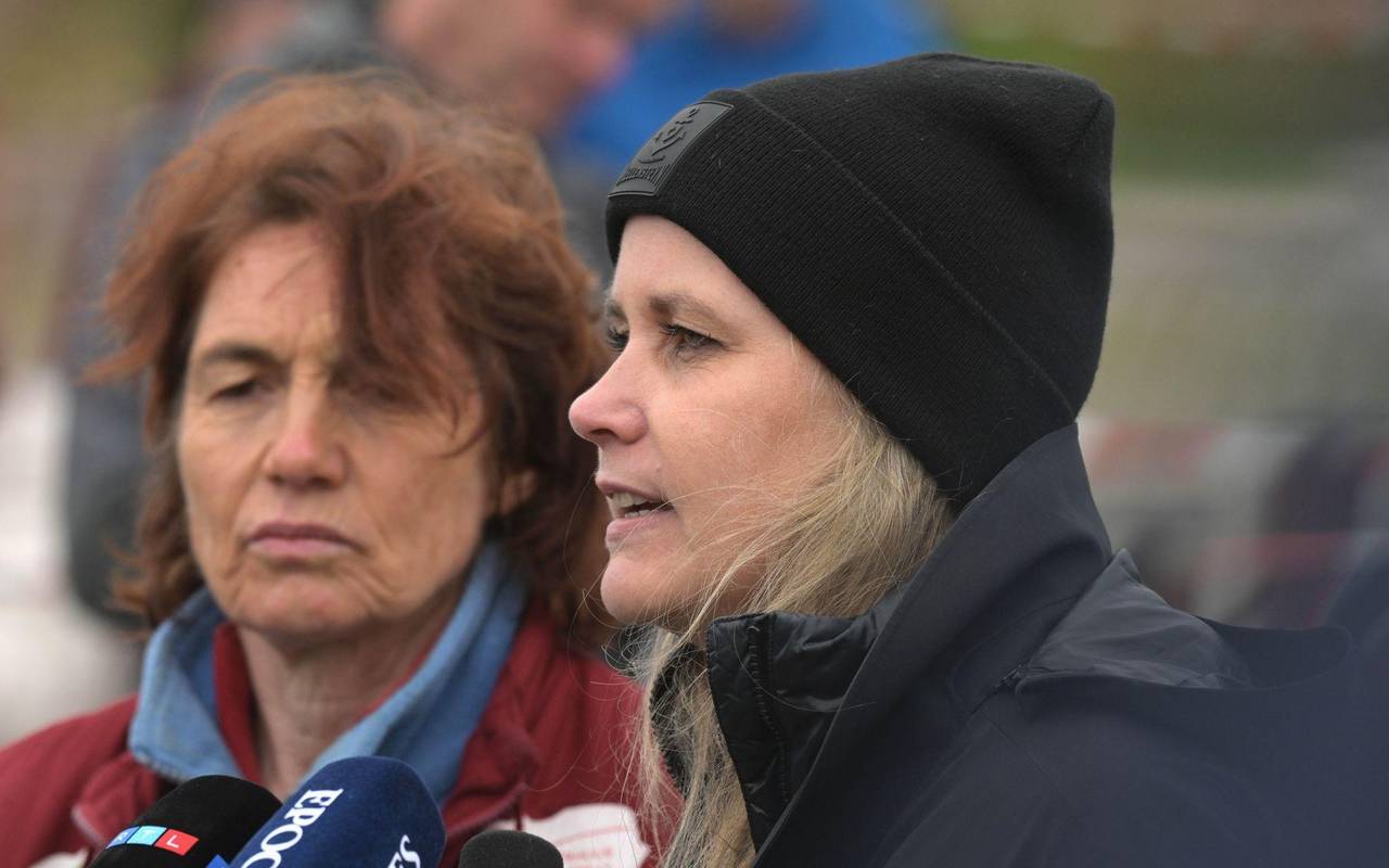 Rettungsaktion für den Buckelwal