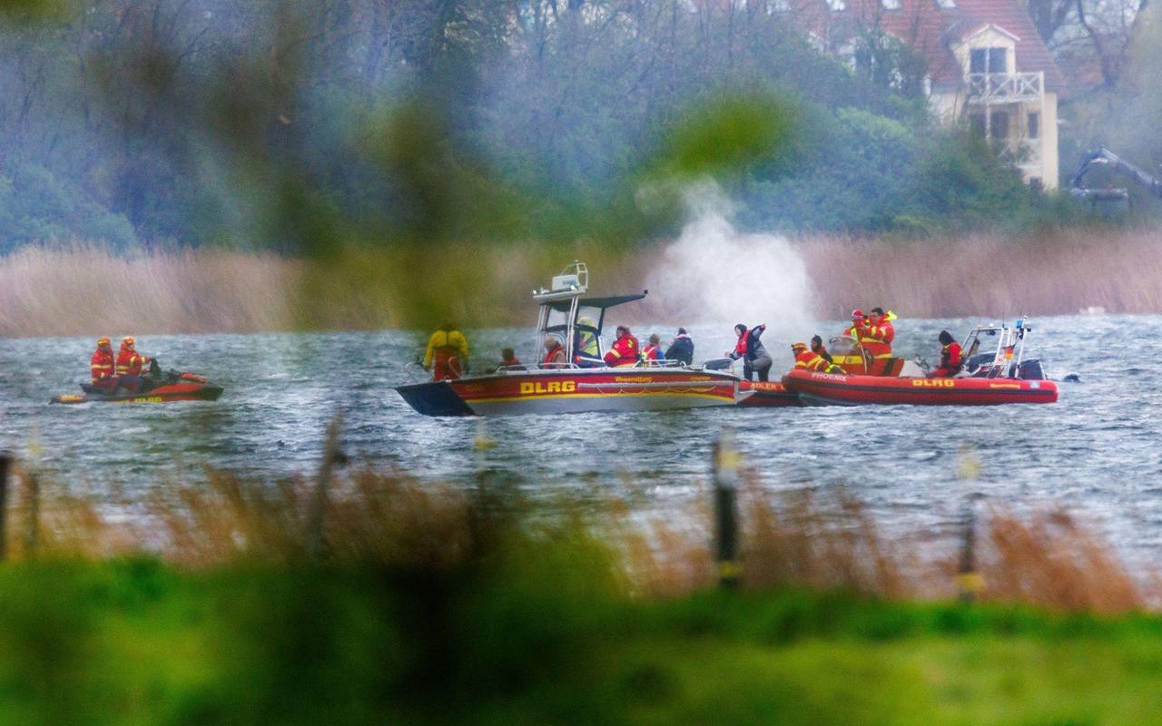 Gestrandeter Buckelwal ist geschwommen