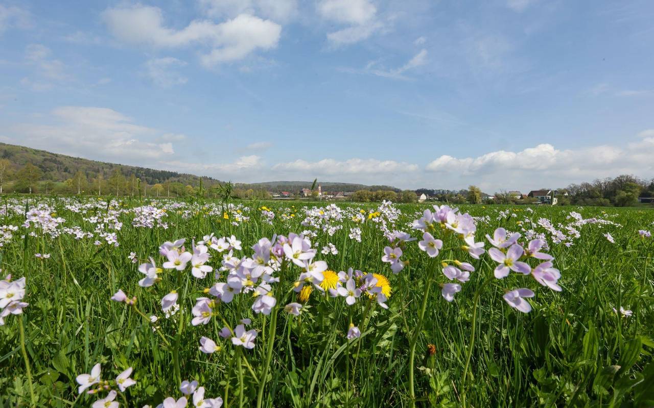 Wetter in Baden-Württemberg