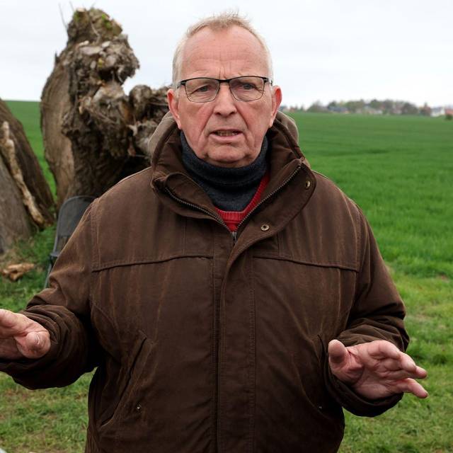 Rettungsaktion für den Buckelwal